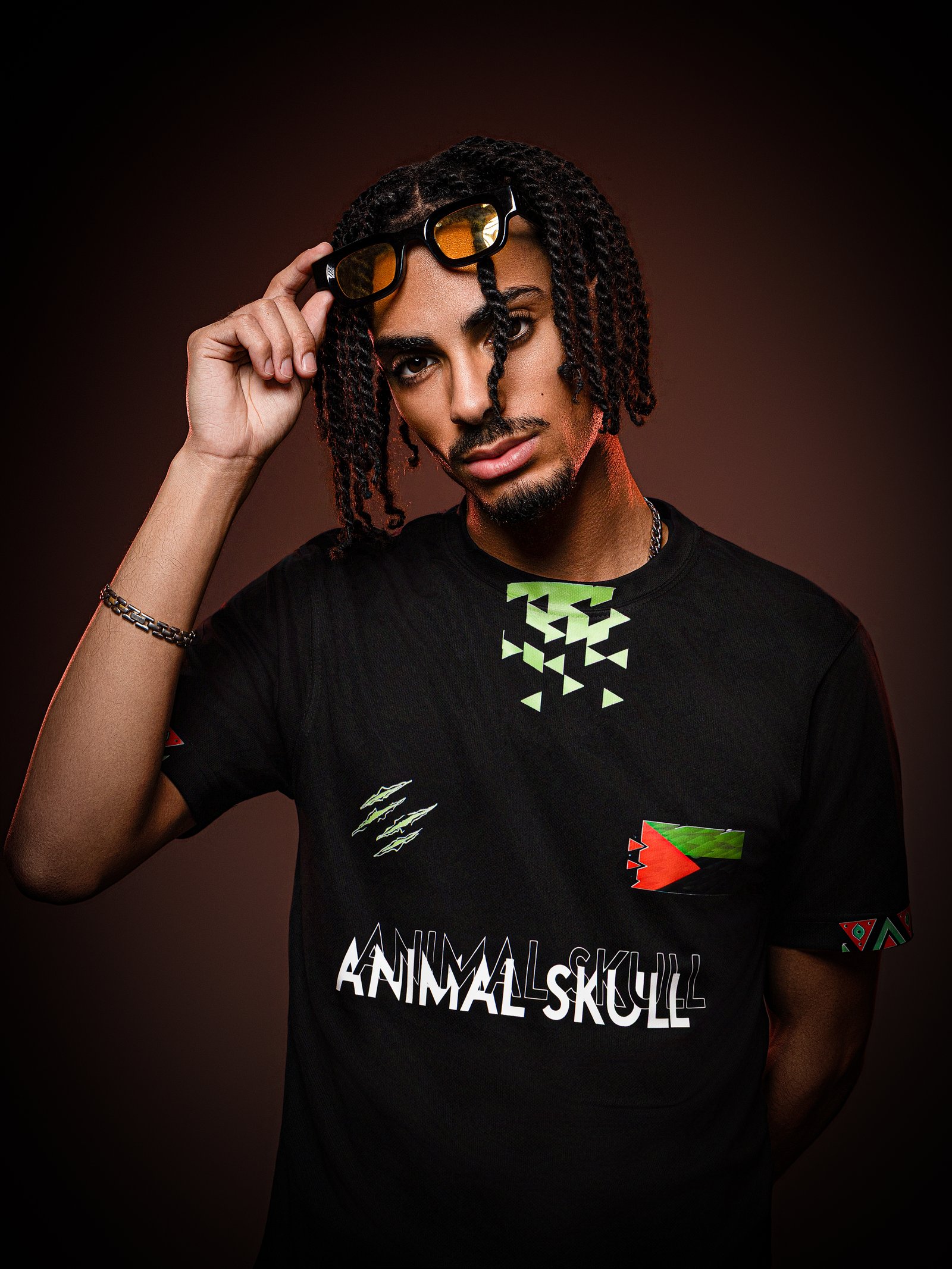 Animal Skull - Concept Memory